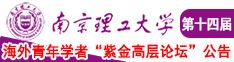 用力插进去视频南京理工大学第十四届海外青年学者紫金论坛诚邀海内外英才！